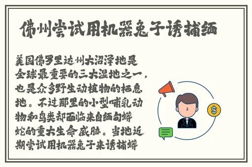 国产欧美精品一区二区三区四区